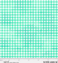 Load image into Gallery viewer, P&B Textiles - Sorbet - Gingham - Mint - 1/2 YARD CUT