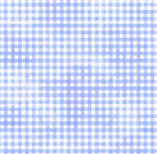 Load image into Gallery viewer, P&B Textiles - Sorbet - Gingham - Cornflower - 1/2 YARD CUT