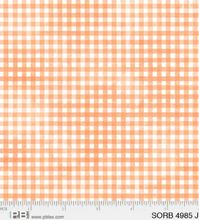 Load image into Gallery viewer, P&B Textiles - Sorbet - Gingham - Coral - 1/2 YARD CUT