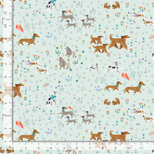 Load image into Gallery viewer, Dear Stella - Ruff Day - Friends Fur-Ever - 1/2 YARD CUT