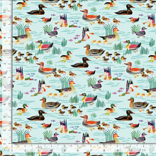 Load image into Gallery viewer, Dear Stella - Get Your Ducks in a Row - 1/2 YARD CUT