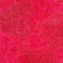 Load image into Gallery viewer, Timeless Treasures - Tonga Batik Spots Country - 1/2 YARD CUT