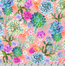 Load image into Gallery viewer, Robert Kaufman - Desert Blooms - Succulents Coral - 1/2 YARD CUT
