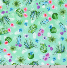 Load image into Gallery viewer, Robert Kaufman - Desert Blooms - Cacti Aqua - 1/2 YARD CUT