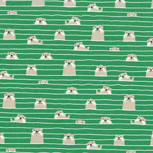 Load image into Gallery viewer, Michael Miller - Otter Assembly - Sea Green - 1/2 YARD CUT