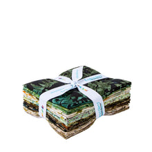 Load image into Gallery viewer, Riley Blake - Expressions Batiks - Places You'll Go - Canyon Drive - Fat Quarter Bundle
