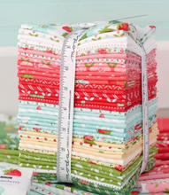 Load image into Gallery viewer, Moda Fabrics - Bloomsberry - FQ Bundle