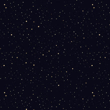 Load image into Gallery viewer, RJR - Beyond the Horizon - Starbright - Black - 1/2 YARD CUT