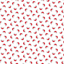 Load image into Gallery viewer, RJR - A Little Christmas - Those Who Believe - Snowfall - 1/2 YARD CUT