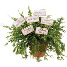 Load image into Gallery viewer, Still Alive Plant Pick Set