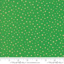 Load image into Gallery viewer, Moda Fabrics - Modafications Metallic - Lime - 1/2 YARD CUT