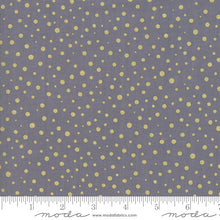 Load image into Gallery viewer, Moda Fabrics - Modafications Metallic - Grey - 1/2 YARD CUT