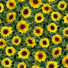 Load image into Gallery viewer, Timeless Treasures - Garden Bouquet - Small Leafy Sunflowers - 1/2 YARD CUT