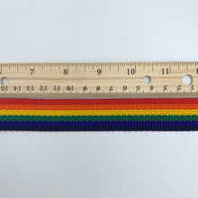 Load image into Gallery viewer, Rainbow 1" Polypro Webbing - BY THE YARD