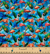 Load image into Gallery viewer, Paintbrush Studio - Fabulous Flamingos - Blue - 1/2 YARD CUT
