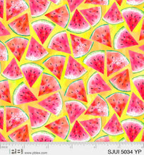 Load image into Gallery viewer, P&B Textiles - Sweet & Juicy - Tossed Watermelon Slices - 1/2 YARD CUT