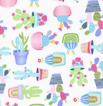 Load image into Gallery viewer, Timeless Treasures - Potted Cactus - 1/2 YARD CUT