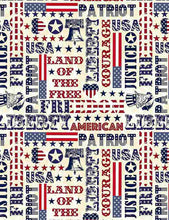Load image into Gallery viewer, Timeless Treasures - Patriotic Typography - 1/2 YARD CUT