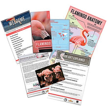 Load image into Gallery viewer, Adopt a Flamingo Kit