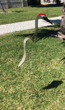 Load image into Gallery viewer, Dancing Yard Sandhill Crane