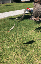 Load image into Gallery viewer, Dancing Yard Sandhill Crane