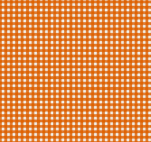 Load image into Gallery viewer, Maywood Studios - Pumpkin Grove - Orange Gingham - 1/2 YARD CUT
