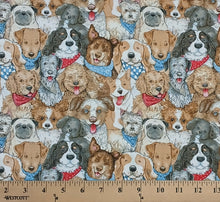 Load image into Gallery viewer, Henry Glass &amp; Co - A Place to Call Home - Packed Dogs - 1/2 YARD CUT
