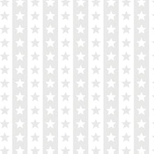 Load image into Gallery viewer, Benartex - Star Spangled Whites - Stars &amp; Stripes - 1/2 YARD CUT
