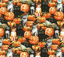 Load image into Gallery viewer, Wilmington Prints - Spooky Tails - Cats &amp; Pumpkins - 1/2 YARD CUT
