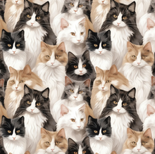 Load image into Gallery viewer, Camelot - Paw &amp; Whisker - Not A-mew-sed - 1/2 YARD CUT
