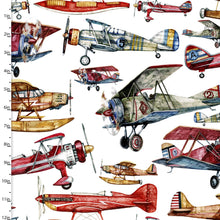 Load image into Gallery viewer, 3 Wishes - First in Flight - Main - 1/2 YARD CUT
