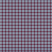 Load image into Gallery viewer, Northcott - Cowboy Blues - Small Check - Cream Multi - 1/2 YARD CUT
