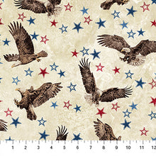 Load image into Gallery viewer, Northcott - Stonehenge Stars &amp; Stripes 14 - Eagle Toss - 1/2 YARD CUT
