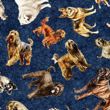 Load image into Gallery viewer, QT Fabrics - Top Dog - Dog Toss - 1/2 YARD CUT
