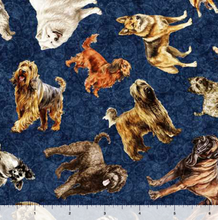 Load image into Gallery viewer, QT Fabrics - Top Dog - Dog Toss - 1/2 YARD CUT

