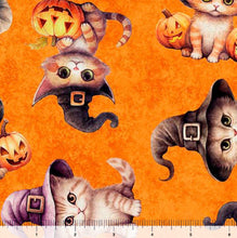 Load image into Gallery viewer, QT Fabrics - QT Cuties - Halloween Kittens - 1/2 YARD CUT
