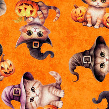 Load image into Gallery viewer, QT Fabrics - QT Cuties - Halloween Kittens - 1/2 YARD CUT
