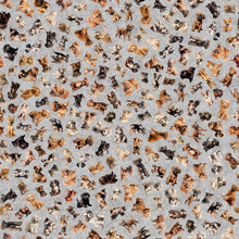 Load image into Gallery viewer, QT Fabrics - QT Cuties 2 - Puppy Toss - 1/2 YARD CUT
