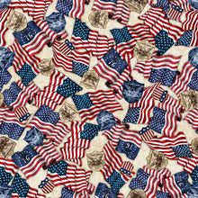 Load image into Gallery viewer, QT Fabrics - 1776 - American Flag &amp; 250 Crest - 1/2 YARD CUT
