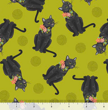 Load image into Gallery viewer, QT Fabrics - Curious Kittycats - Tossed Black Cats - 1/2 YARD CUT
