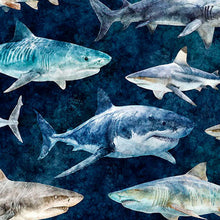 Load image into Gallery viewer, QT Fabrics - Into the Deep - Sharks - Mediterranean - 1/2 YARD CUT
