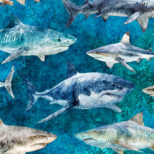 Load image into Gallery viewer, QT Fabrics - Into the Deep - Sharks - Turquoise - 1/2 YARD CUT
