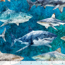 Load image into Gallery viewer, QT Fabrics - Into the Deep - Sharks - Turquoise - 1/2 YARD CUT
