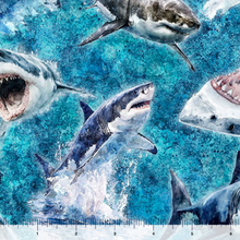 Load image into Gallery viewer, QT Fabrics - Into the Deep - Great Whites - Turquoise - 1/2 YARD CUT
