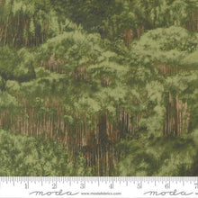Load image into Gallery viewer, Moda Fabrics - Wild Blue Yonder - Foliage Pine - 1/2 YARD CUT
