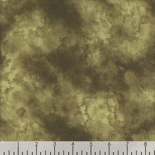 Load image into Gallery viewer, Wilmington Prints - Sunkissed - Texture Green - 1/2 YARD CUT
