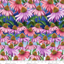 Load image into Gallery viewer, Henry Glass &amp; Co Fabrics - Blissful Blooms - Echinacea - 1/2 YARD CUT
