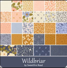 Load image into Gallery viewer, Moda Fabrics - Wildbriar - 10” Layer Cake
