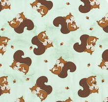 Load image into Gallery viewer, Wilmington Prints - Woodland Whimsy - Squirrel Toss - Teal - 1/2 YARD CUT
