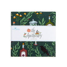 Load image into Gallery viewer, Riley Blake - The Apothecary - 5" Stacker
